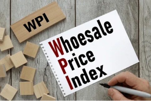 The image describes what is WPI i.e. Wholesale Price Index