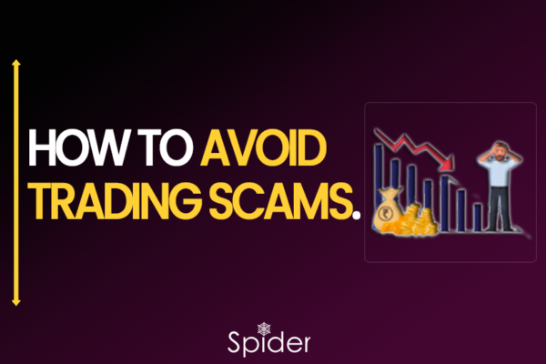 The image is a feature image of How to Avoid the Trading Scams in the Stock Market.
