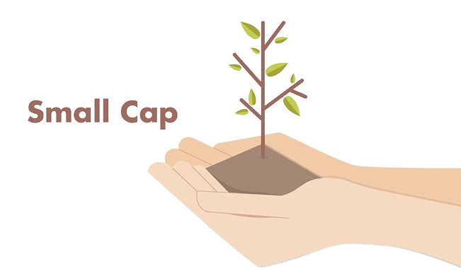 This image picture illustrates about Small Cap Investment