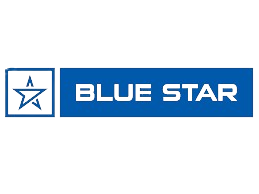 This image depicts about blue star