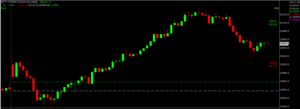 The image displays Intraday version of the Nifty Stock Market chart, used for predicting on Sept 11, 2024
