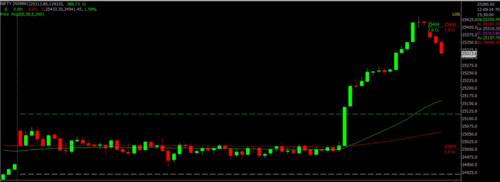 The image displays Intraday version of the Nifty Stock Market chart, used for predicting on Sept 13, 2024