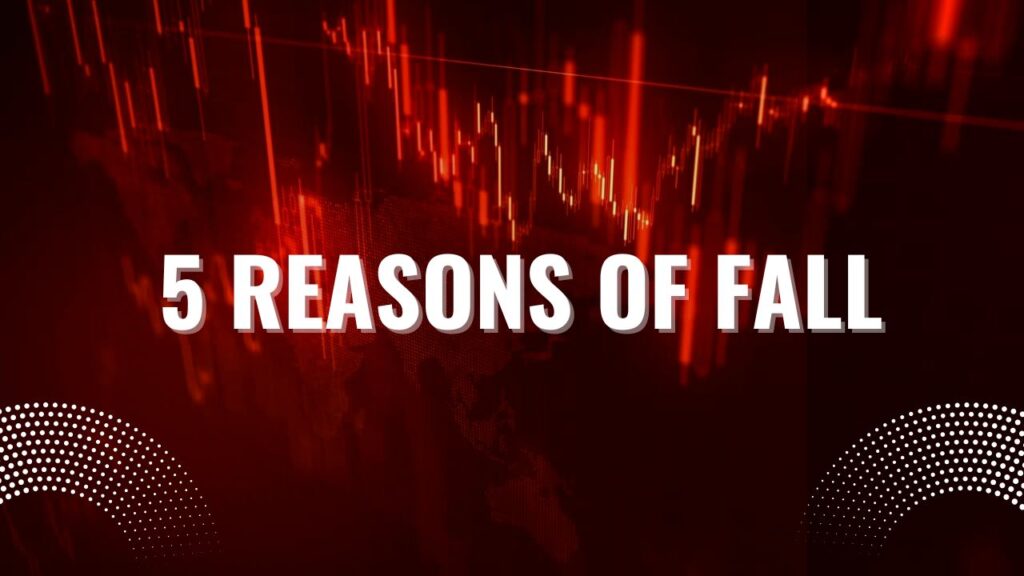 This image is about 5 reasons of fall in the stock market